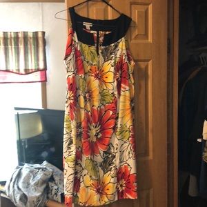 Kim Rogers Woman Dress. Size 18w